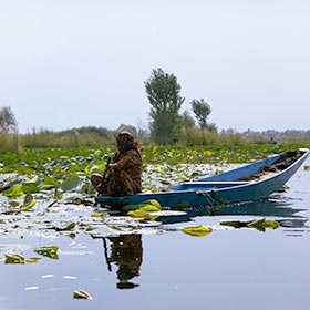the dal lake people